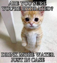 Water meme